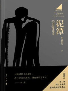 【电子书】泥潭 漓江文学奖获奖作品 epub电子书