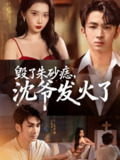 短剧《毁了朱砂痣，沈爷发火了》全集60集 叶森林张璇主演