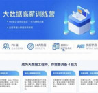 拉勾 大数据开发高薪训练营 带源码课件 大数据技术 实战项目 就业指导