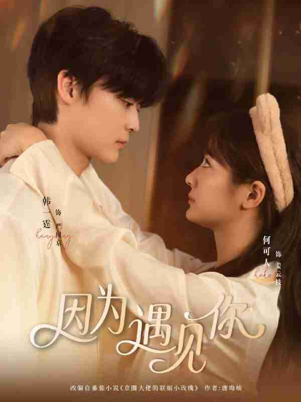 【短剧】因为遇见你（79集全集）韩一霆＆何可人
