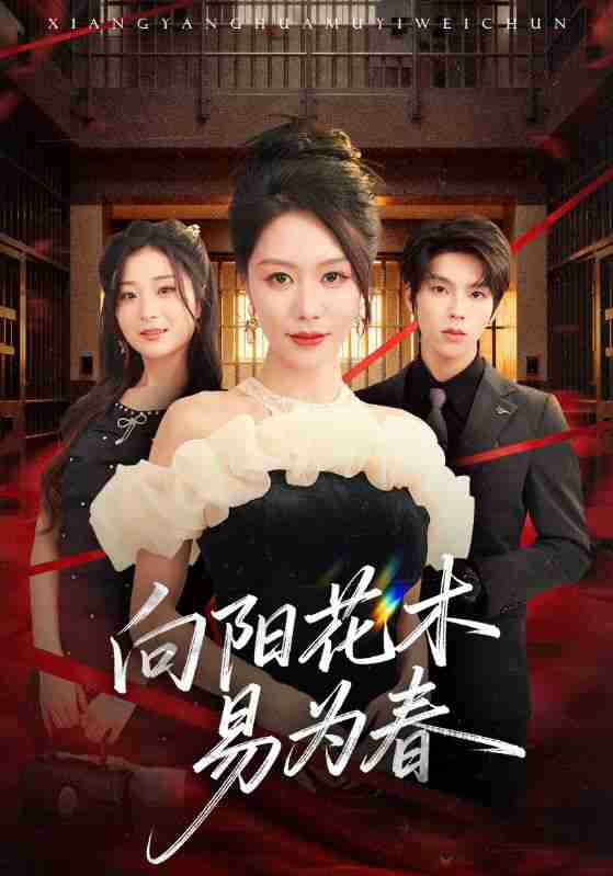 【短剧】新:向阳花木易为春(72集全集)钟莹玲&向帅