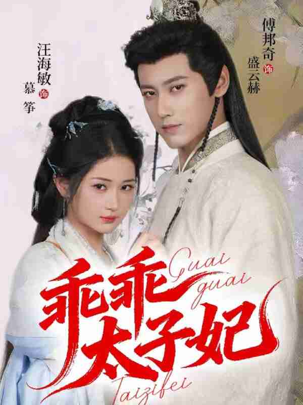 【短剧】乖乖太子妃（64集全集）傅邦奇＆汪海敏