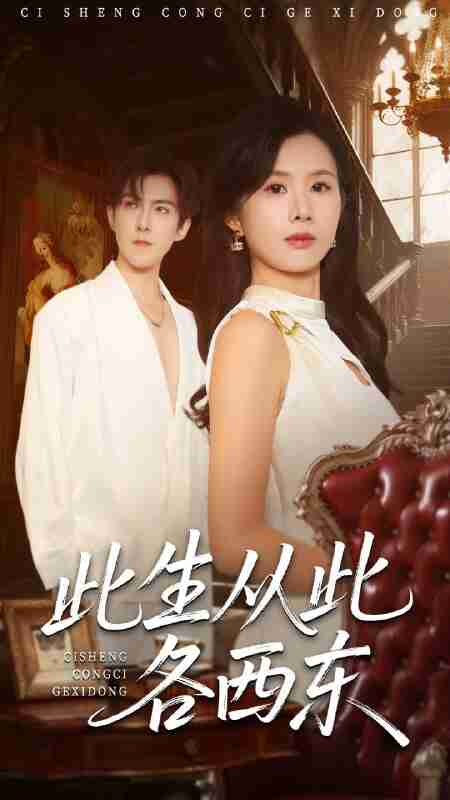 【短剧】此生从此各西东(60集全集)赵宏伟&刘梦奕