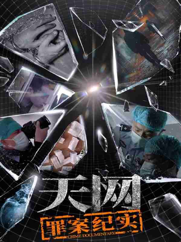 纪录片:《天网:罪案纪实》2025 1080p高码 国语中字 全集