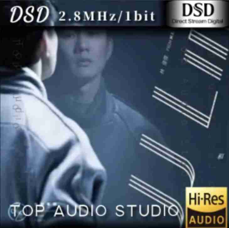 林俊杰 - 2015年SACD系列 - 和自己对话 DSD DSF