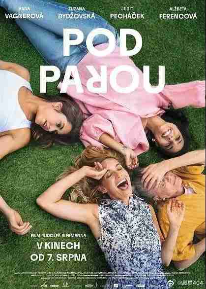 电影:《酒精计划》2025 1080p高码 中英字幕