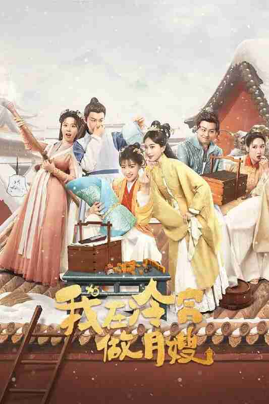 我在冷宫做月嫂 4K臻彩MAX [HDR60帧率][全24集]