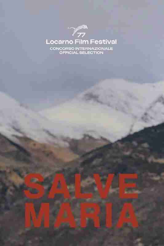 电影:《母亲不会这样做》2024 1080p 中英字幕