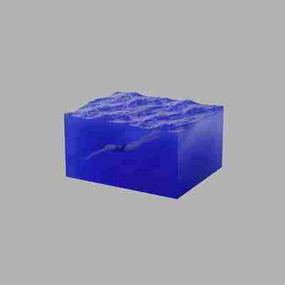 告五人 - 我肯定在几百年前就说过爱你 2019 - FLAC