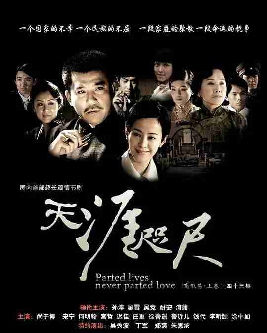 天涯咫尺 (2008)