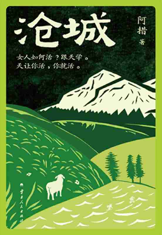 《沧城》(azw3+epub+mobi+pdf)