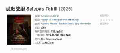 魂归故里 Selepas Tahlil (2025)