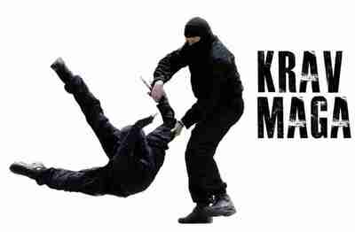 马伽术以色列防身术 健身格斗术合集教程