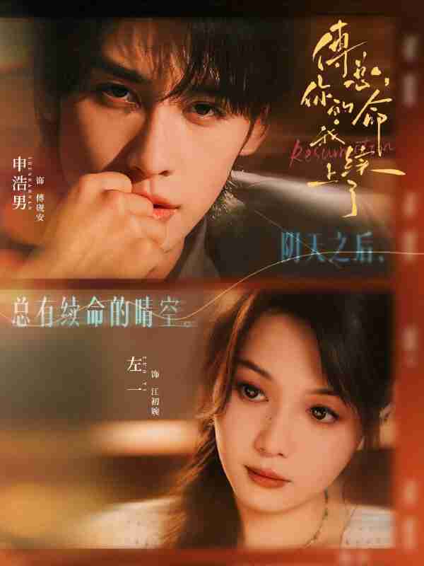 【短剧】傅总，你的命我续上了（61集全集）申浩男＆左一