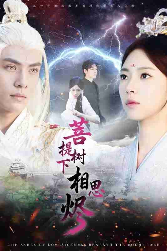 【短剧】菩提树下相思烬（63集全集）文渊＆崔一梁