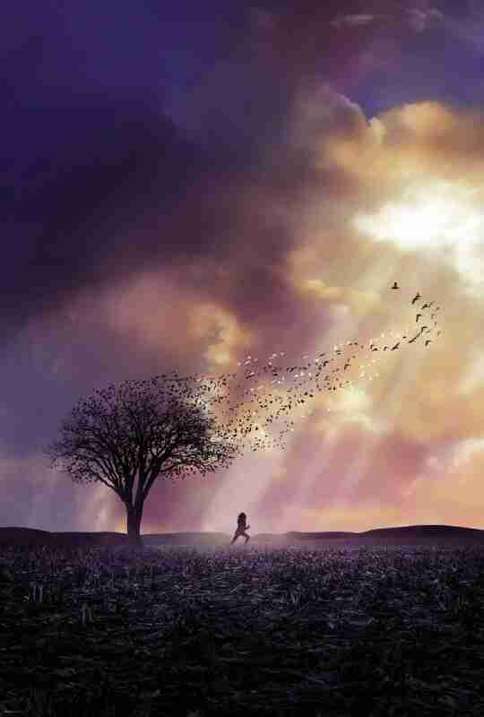 可爱的骨头 The Lovely Bones (2009)