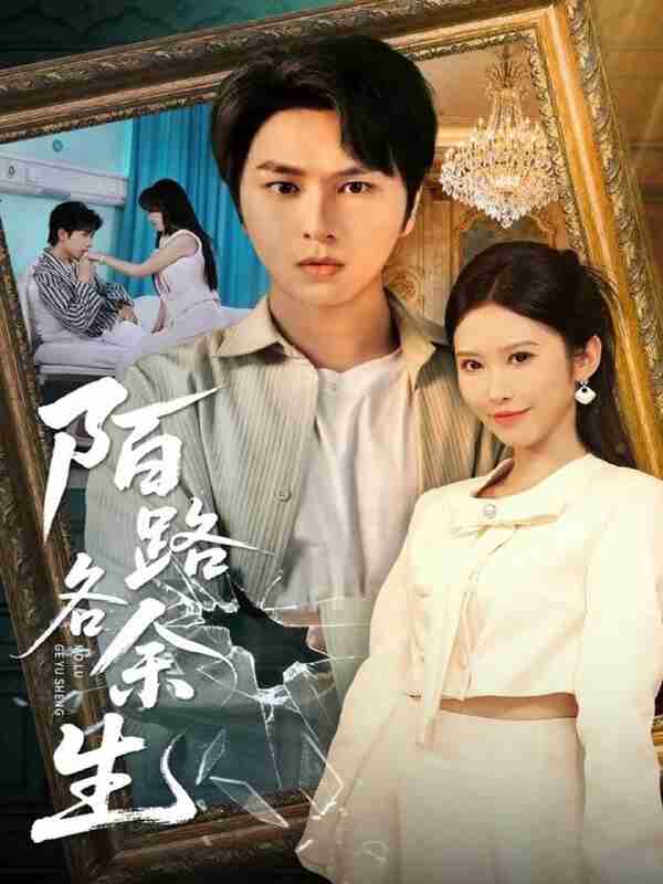 【短剧】陌路各余生（65集全集）张易嵘＆秦玺&王珊珊