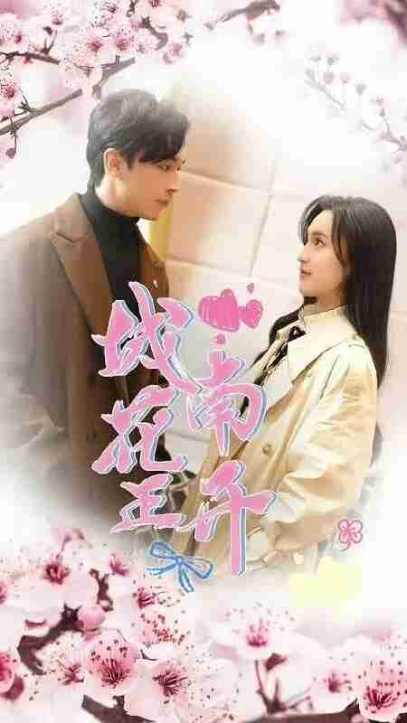 城南花正开 (2024)