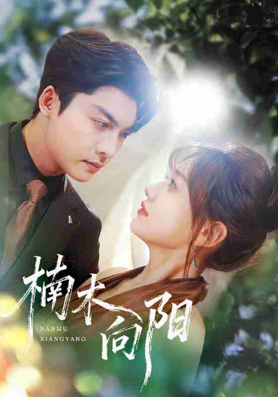 【短剧】楠木向阳（70集全集）方正男＆仇乐瑶