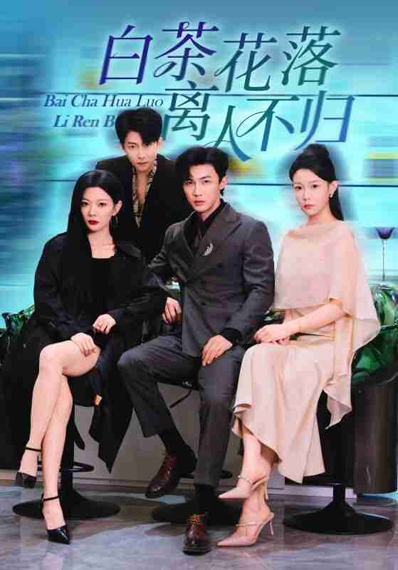 【短剧】白茶花落离人（51集全集）沈国洋&林初