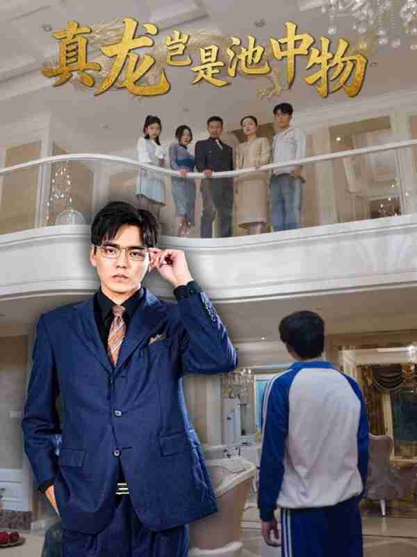 【短剧】真龙岂是池中物（80集全集）孙忠杨＆魏灵尧