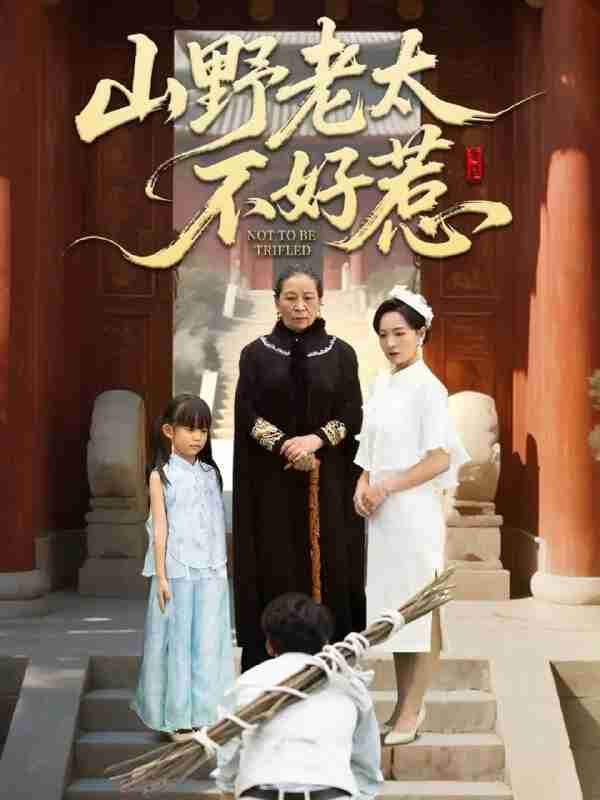 【短剧】山野老太不好惹＆奶奶一脚震全城（64集全集）徐绍航