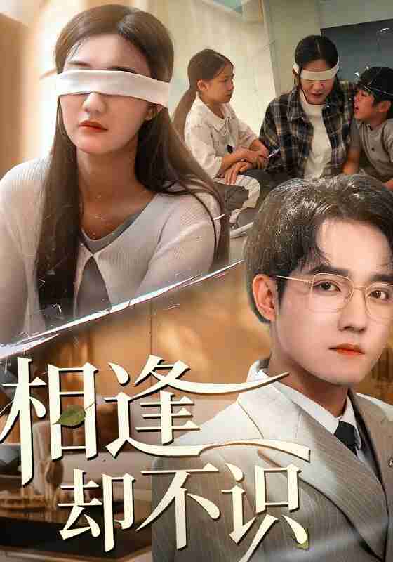 【短剧】相逢却不识（77集全集）刘静阳&程汁