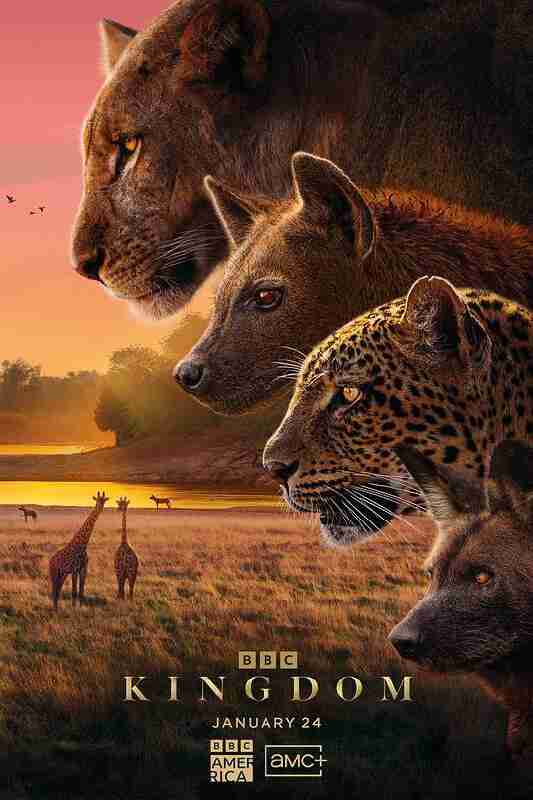 动物王国 Kingdom‎ (2025) 4K SDR HQ高码率 10Bit 国英双语 内嵌中英双字【8.2GB/集】更03集