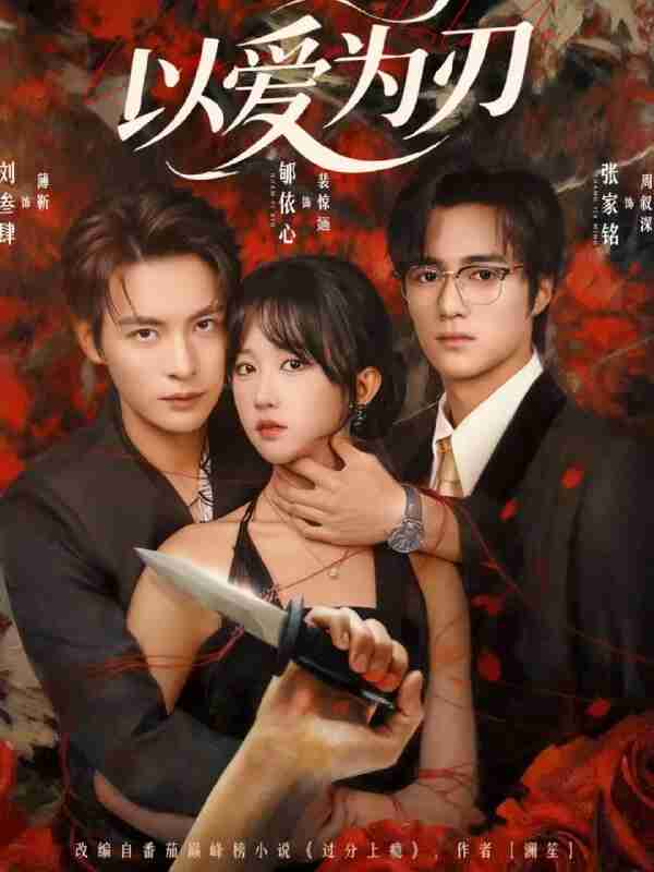 692bfd21095e0.jpg (600×800)