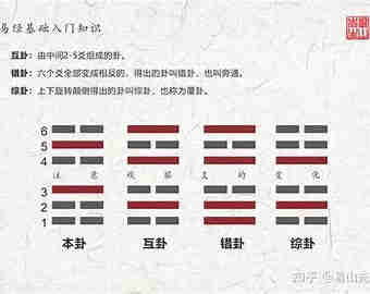 刘易祖《易经入门与占卦解卦》