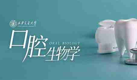 2024年【口腔医学】中级：353 视频课程