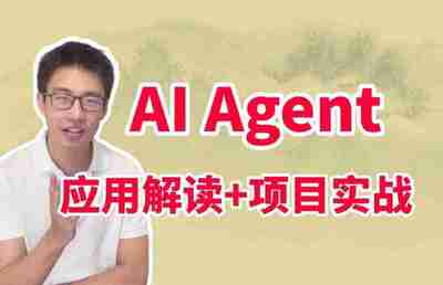 迪哥《2024Ai必会Agent精讲班 (应用解读+项目实战) 》