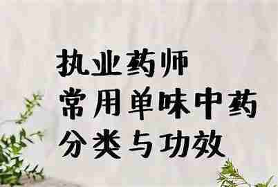 执业药师—中药