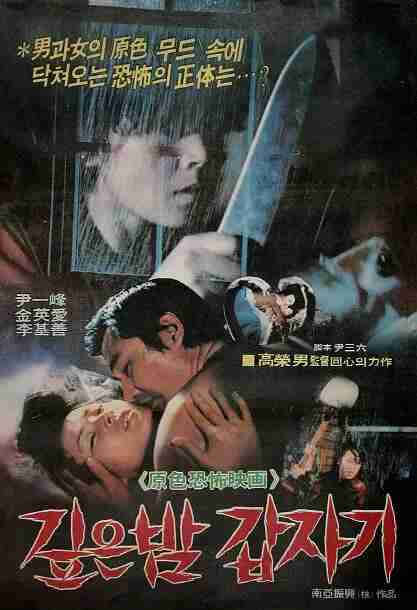 午夜凶杀 깊은밤 갑자기 (1981)
