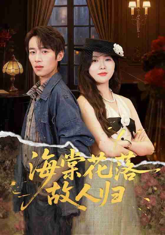 【短剧】海棠花落故人归（78集全集）霍豆豆&白家宁