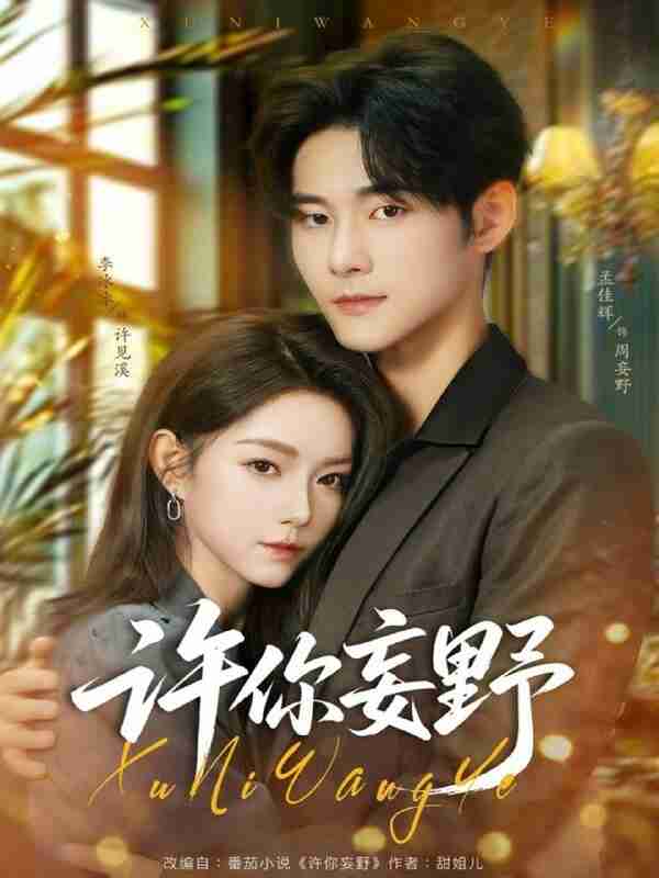 【短剧】许你妄野（80集全集）孟佳辉＆李冰冰