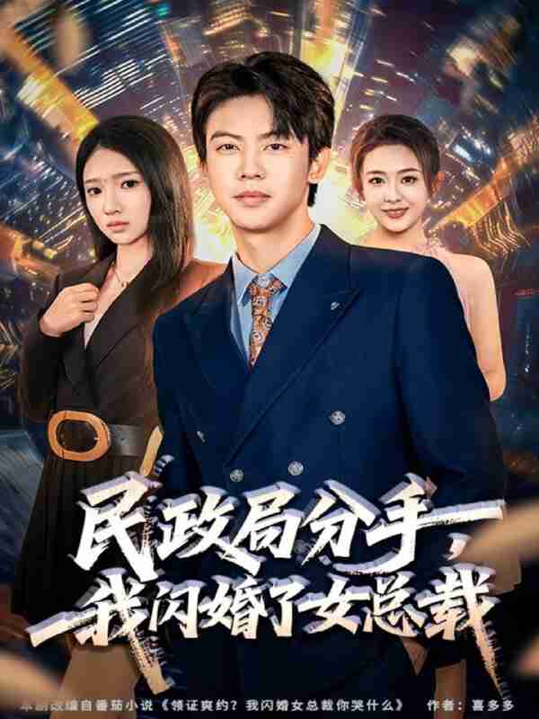 【短剧】民政局分手,我闪婚了女总裁(72集全集)刘相奇&朱洙