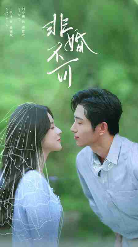 【短剧】非婚不可（65集全集）王凯沐＆刘夕语