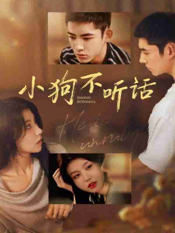 【短剧】小狗不听话(70集全集)马浩东&何田田