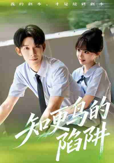 【短剧】知更鸟的陷阱（58集全集）曹皓添＆唐七七