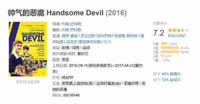 帅气的恶魔 Handsome Devil (2016)