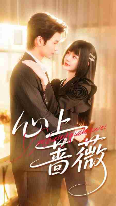 【短剧】心上蔷薇(100集全集)张嘉松&刘安歌