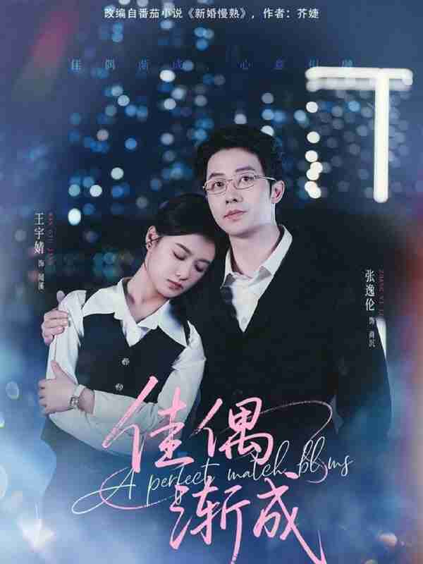 【短剧】佳偶渐成（71集全集）张逸伦＆王宇婧