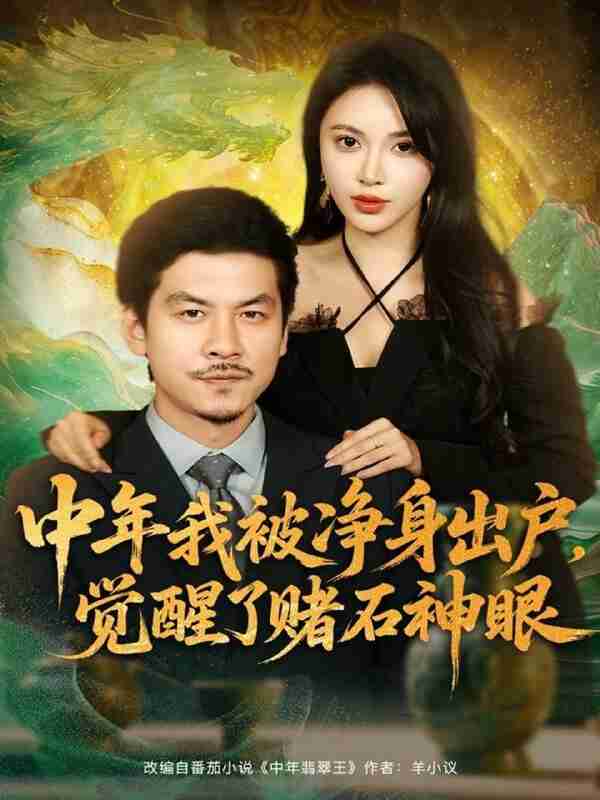 【短剧】中年我被净身出户，觉醒了赌石神眼（80集全集）柯珂（柯以）＆王辉