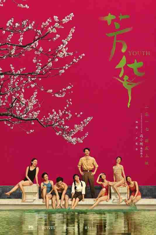 芳华(2017)【4K.高码率】【60帧版】【内嵌简中】【历史/战争】【黄轩/钟楚曦】