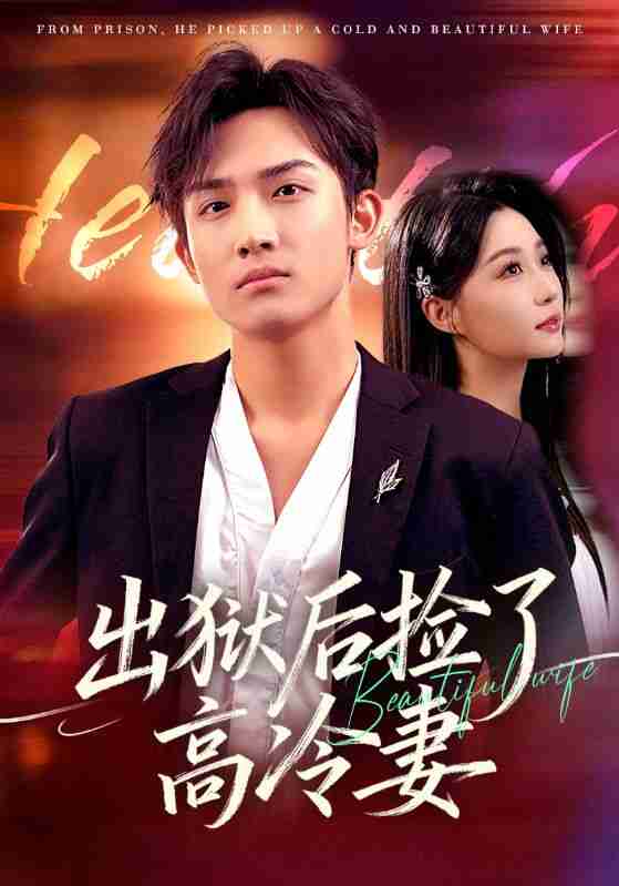 【短剧】出狱后捡了高冷妻（71集全集）沈樑&冯瑞