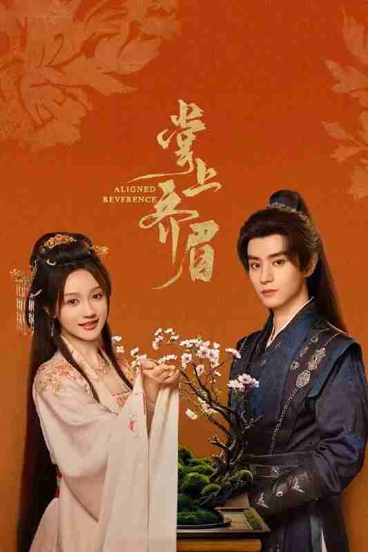 掌上齐眉 4K臻彩MAX[更新至06集]