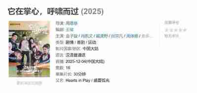 它在掌心,呼啸而过 (2025)