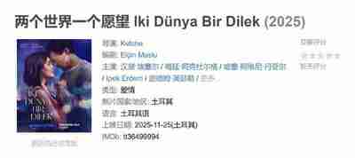 两个世界一个愿望 Iki Dünya Bir Dilek (2025)