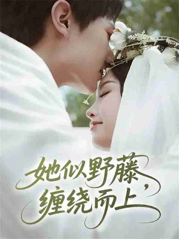 【短剧】她似野藤,缠绕而上(51集全集)万烽&李文茹